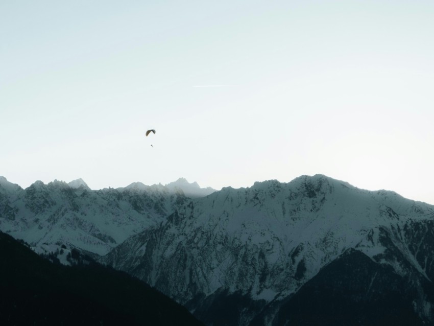 a bird flying over a snow covered mountain range