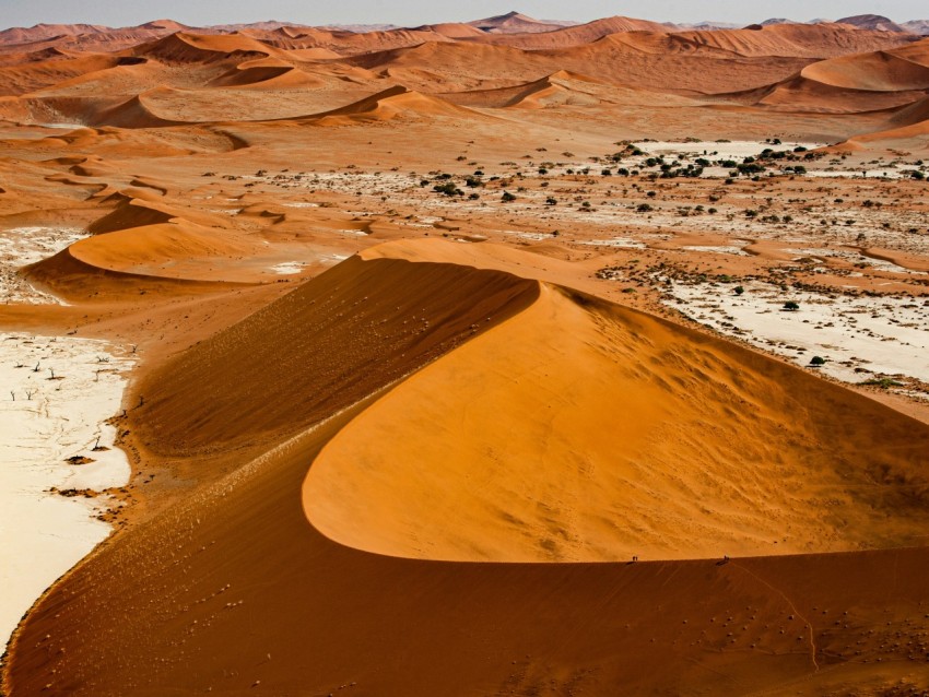 a desert landscape with sand dunes and sparse trees