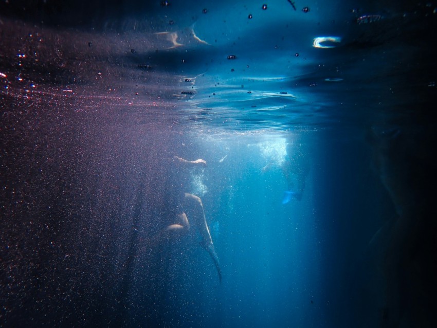 people swimming on body of water