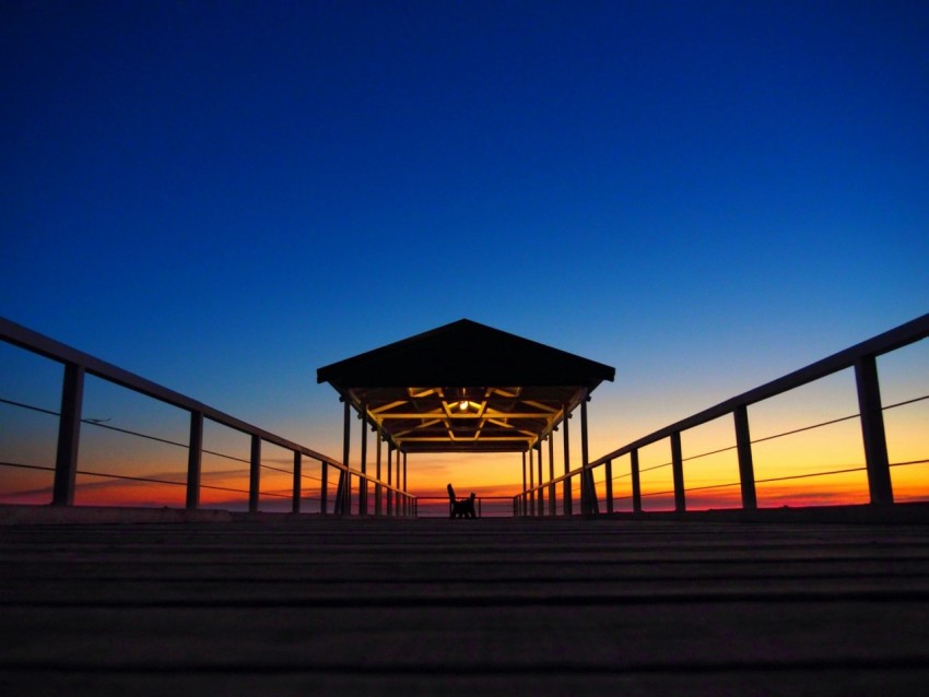 silhouette of cat standing on boat dock 9Q