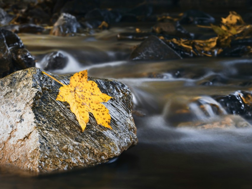 time lapse photography of stream and yellow maple leaf on gray rock uKK