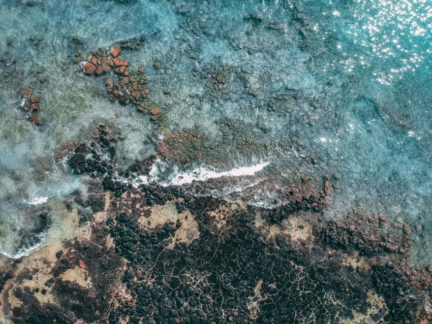 top view of seashore during daytime