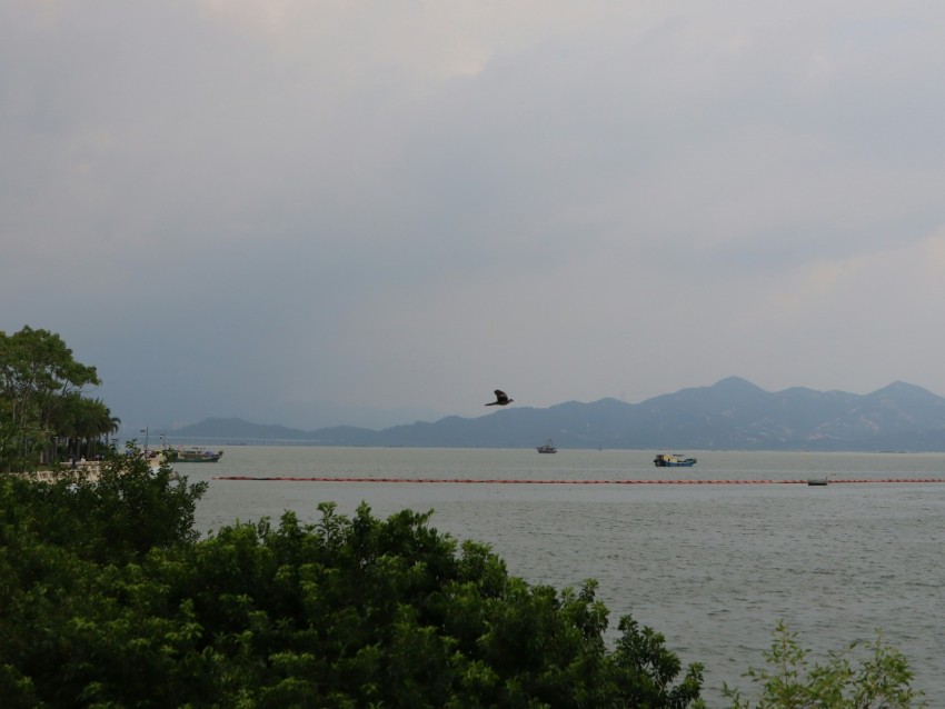 a large body of water surrounded by trees