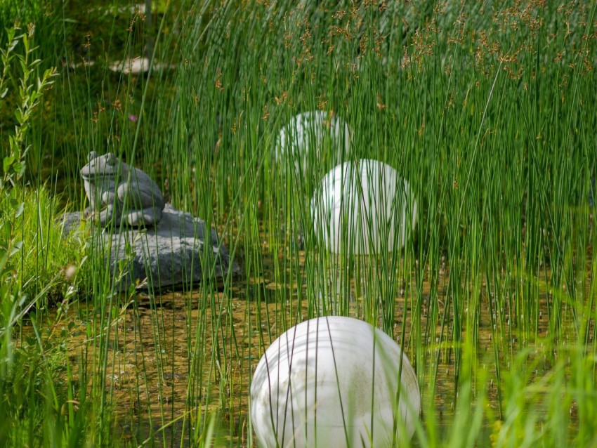 a couple of white balls sitting in the grass