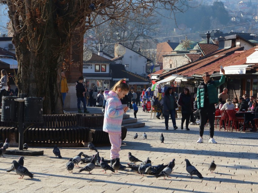 a little girl standing in front of a flock of birds Adt