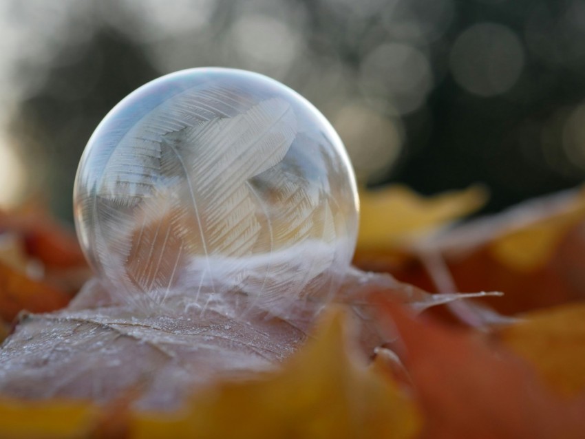 selective focus photography of dew drop on brown leaf