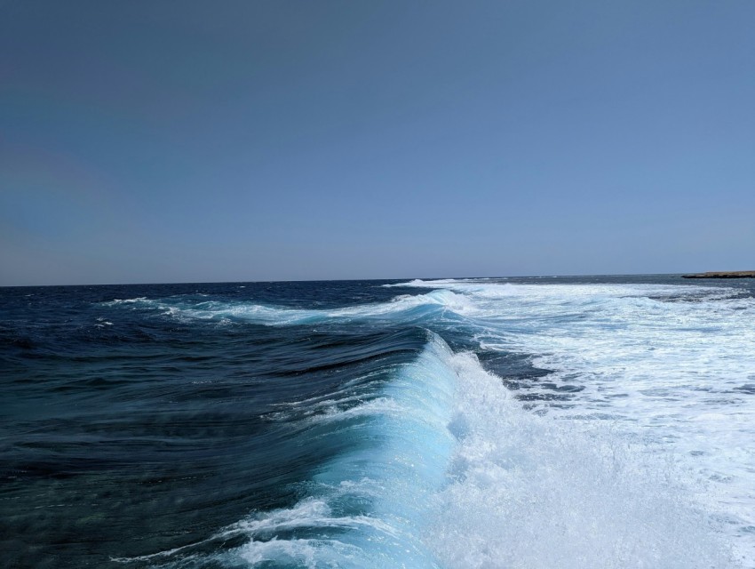 people swimming in the ocean