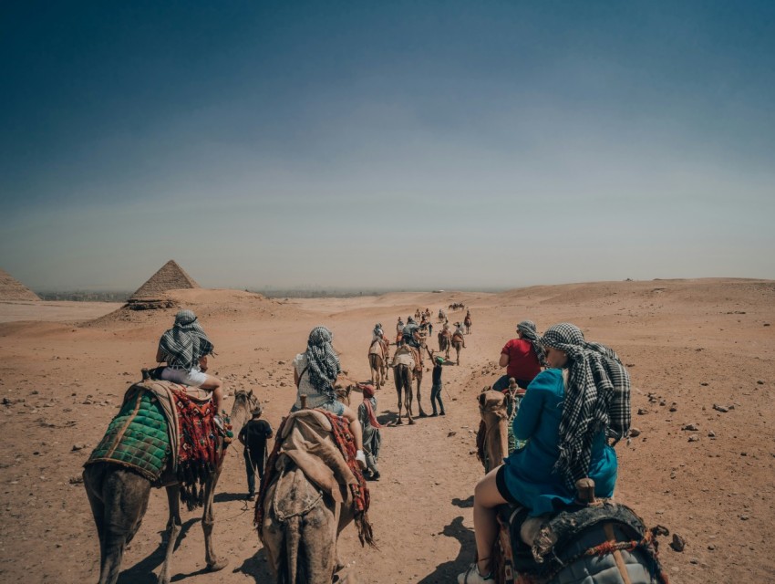 a group of people riding on the backs of camels