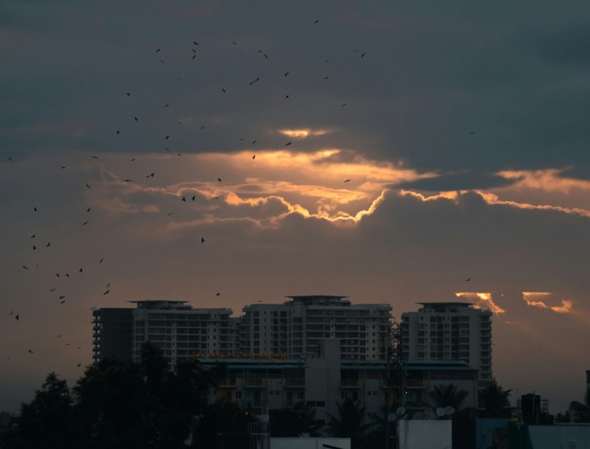 the sun is setting over a city with tall buildings