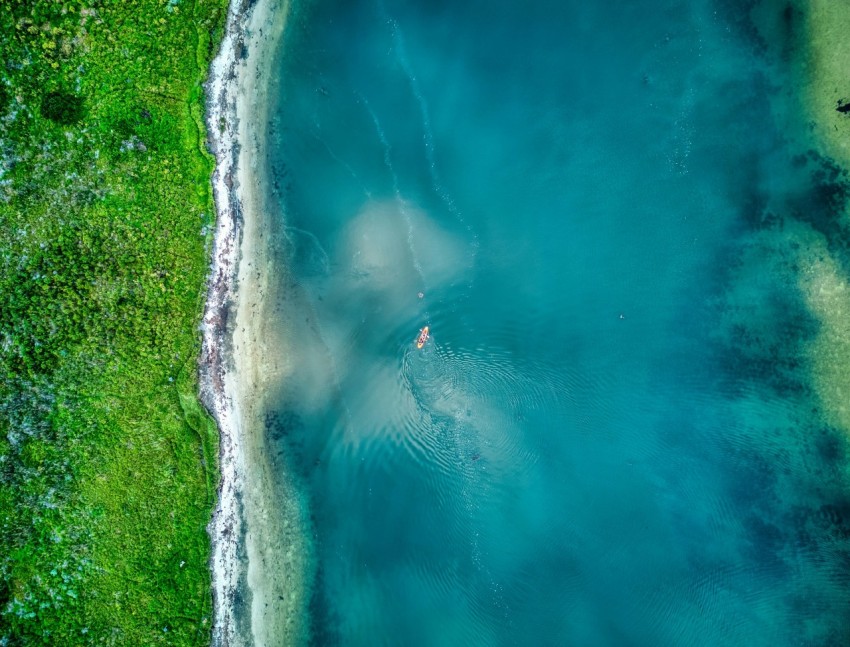 a body of water surrounded by lush green grass