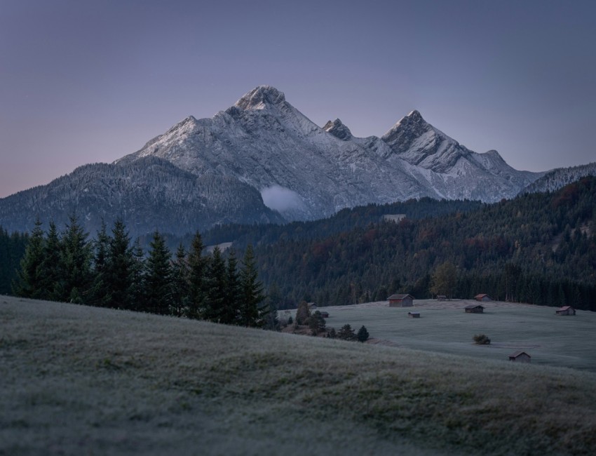 green pine trees near snow covered mountain during daytime