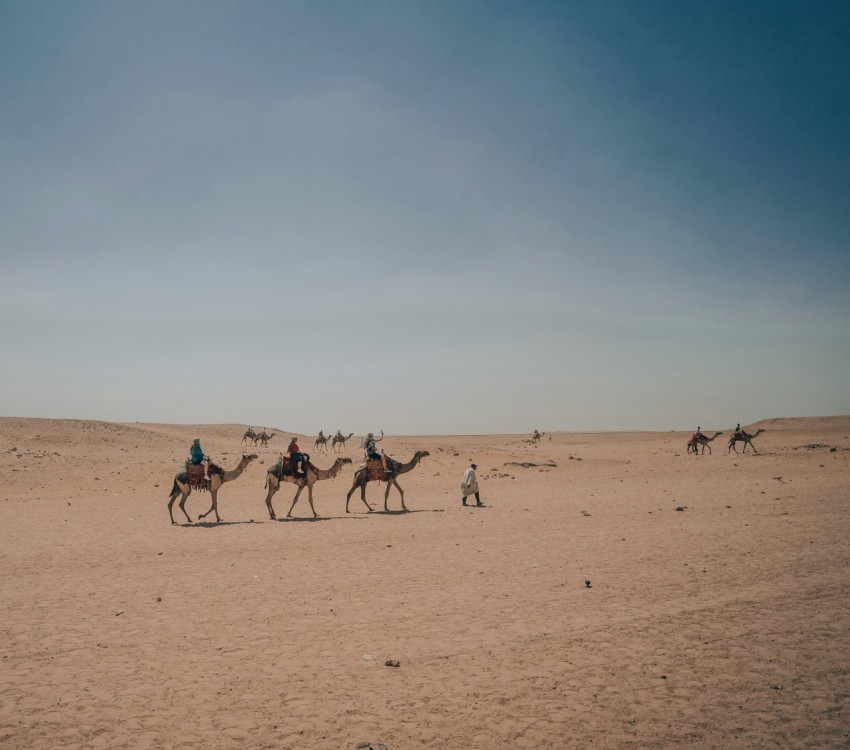 a group of people riding camels across a desert