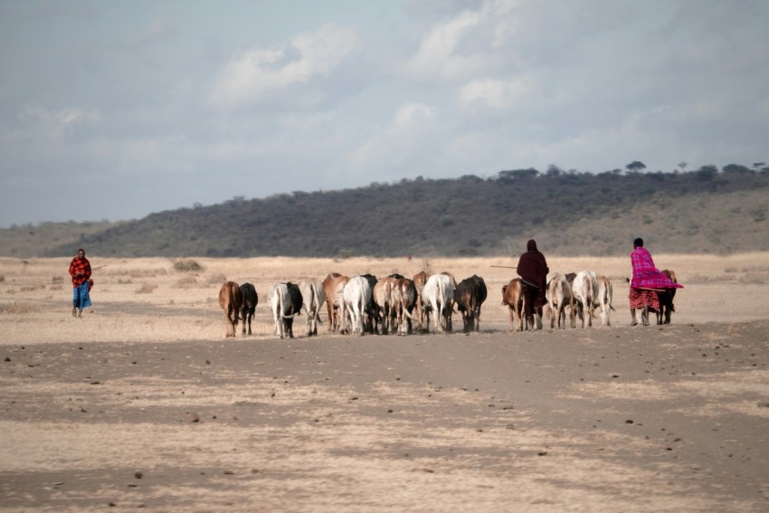 a group of people riding horses in the desert