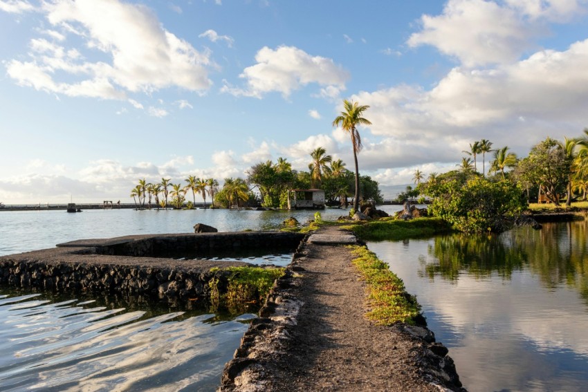 a path leading to a body of water with palm trees in the background