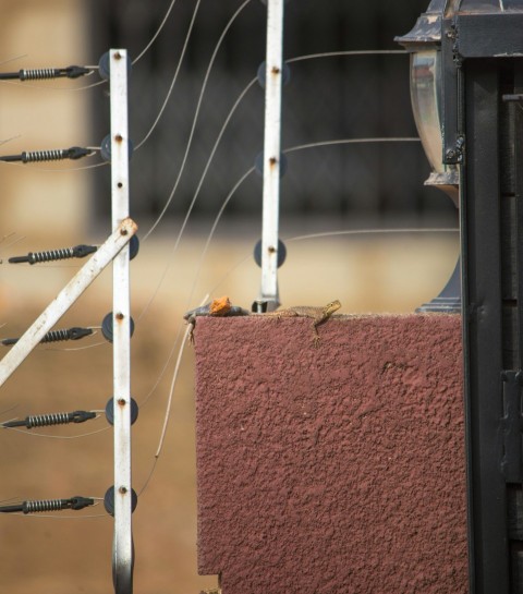 a close up of wires and wires attached to a building