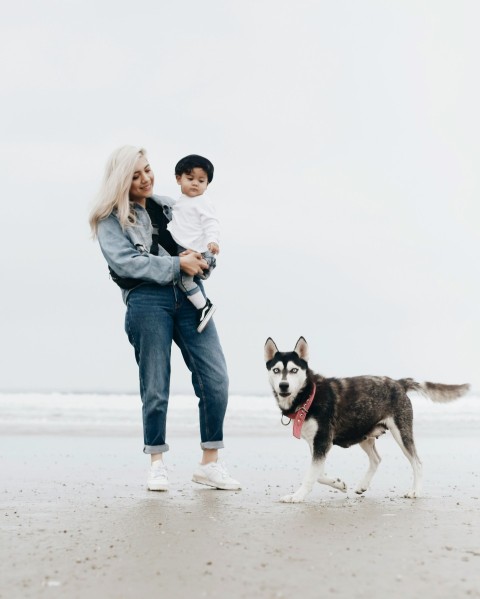 woman in blue denim jacket and blue denim jeans standing beside black and white siberian YC3enbdO9