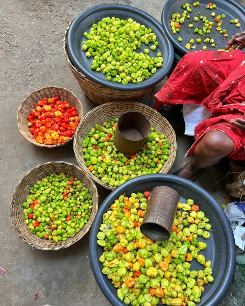 a group of baskets full of fruit