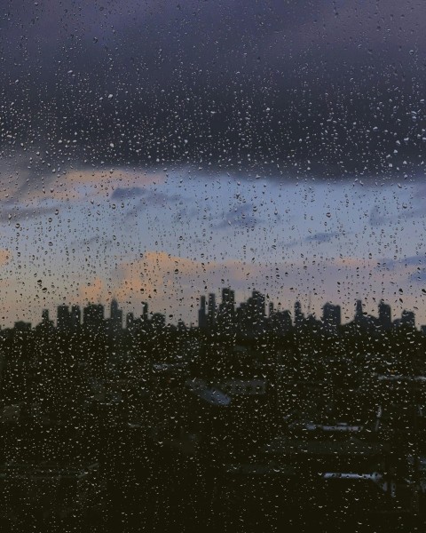 city skyline under gray sky during daytime