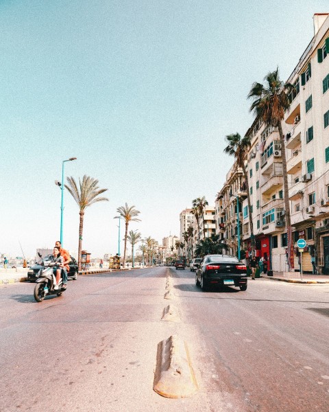 a city street with cars motorcycles and palm trees