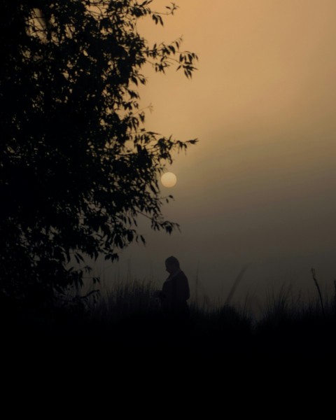 a person standing in a field next to a tree