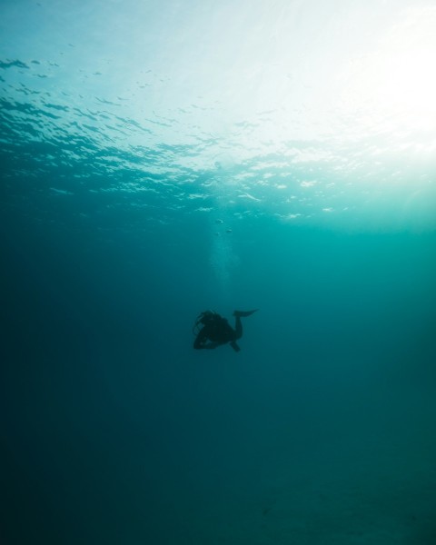 a person in a wet suit swimming in the ocean