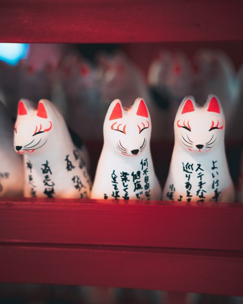 a group of white cats sitting on top of a shelf