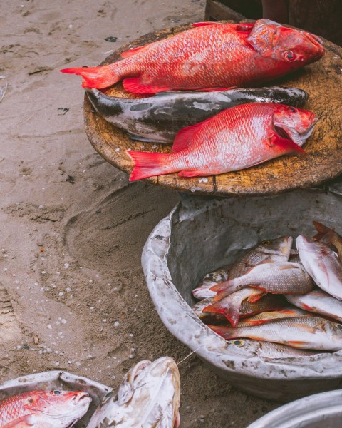 a bunch of fish that are sitting on a table