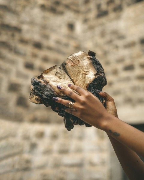 a person holding a baby animal