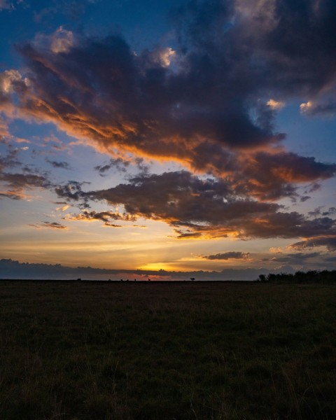 the sun is setting over a field of grass