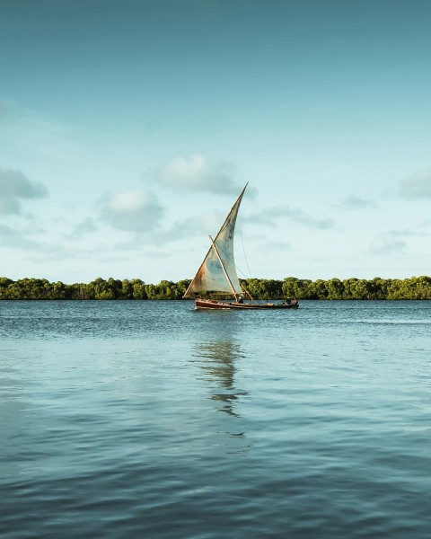 white sail boat on sea during daytime oEBqrgQU