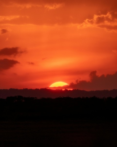 the sun is setting over the horizon of a field