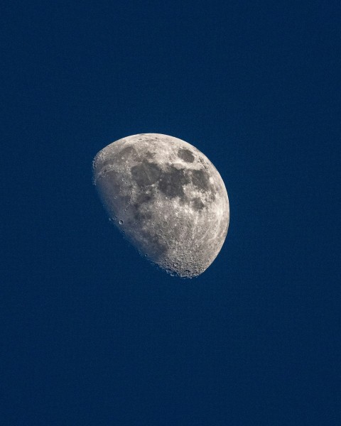 a half moon in a clear blue sky nejw