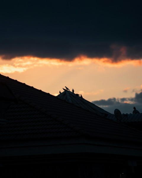 a bird sitting on top of a roof under a cloudy sky YX8CeTe