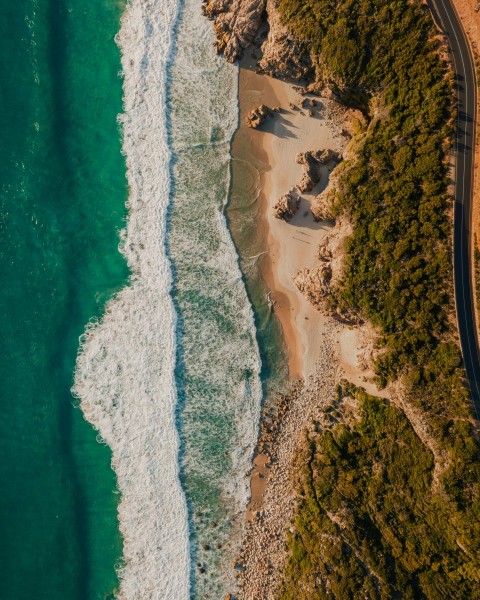 aerial view of green and brown land near body of water during daytime