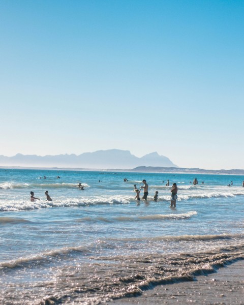 people on beach during daytime