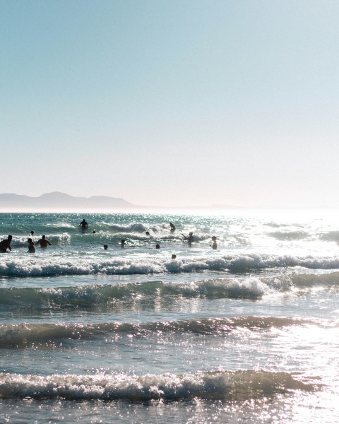 people on beach during daytime