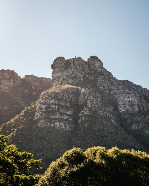 a view of a mountain with trees in the foreground S