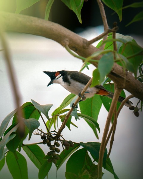 a small bird perched on a tree branch