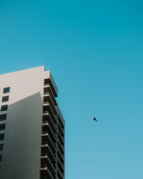 a plane flying in the sky near a tall building