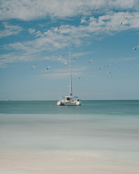 a white boat floating on top of a body of water