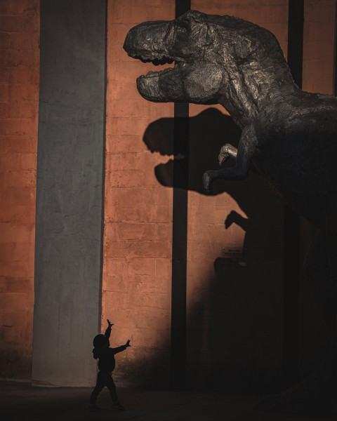 a person standing in front of a dinosaur statue