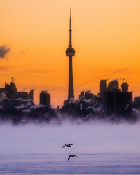 a couple of birds flying over a body of water PEk