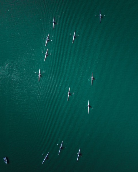 black and white boats sailing