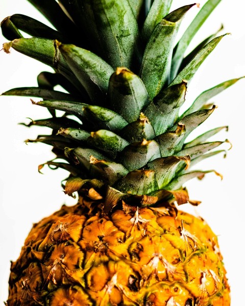 pineapple fruit