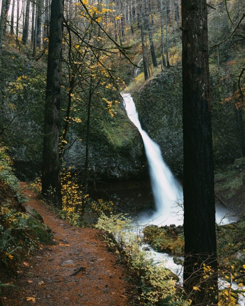 a waterfall in a forest j06C