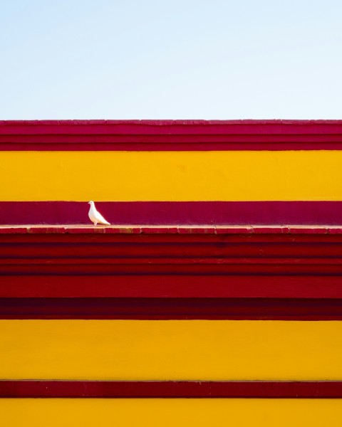 a white bird sitting on top of a red and yellow building