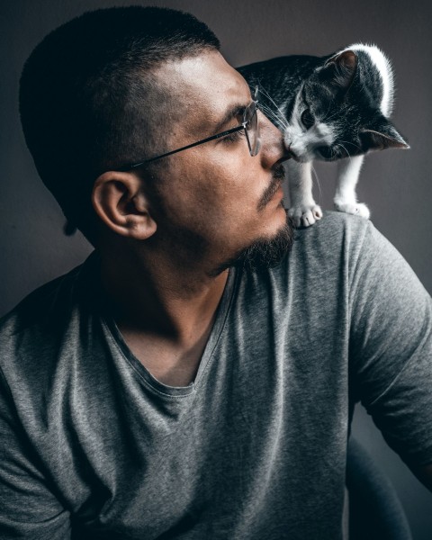 man in gray crew neck shirt holding white and black cat BkGnjF