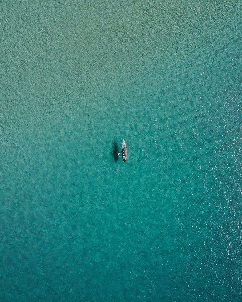 white paddle boat on body of water