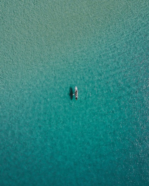 white paddle boat on body of water