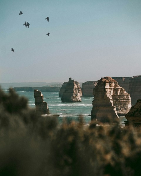 rock formations on sea N_V